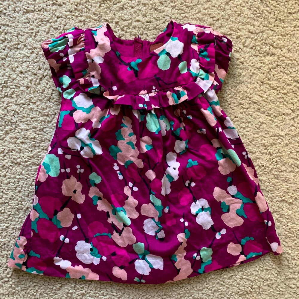 Tea Collection baby girl shirt